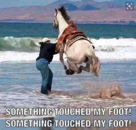 touchfoot